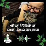 Kociaki bezdomniaki. Joanna i Lucyna ze Stowarzyszenia Stukot - odc. 58