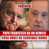 Papa Francesco Ha Un Nemico: Ecco Cosa Vuole Fare Al Cardinale Burke!