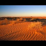 Simpson Desert: viaggio nell'infinito rosso dell'Australia centrale