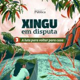 Xingu em Disputa EP03: a luta para voltar para casa