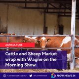 Looking at SA Vic and NSW livestock markets with Wayne on the Morning Show