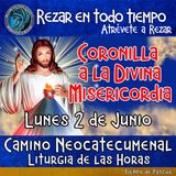 CORONILLA A LA DIVINA MISERICORDIA DE HOY LUNES 2 DE JUNIO 2025. 🙏 REZAR EN TODO TIEMPO.     