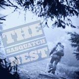 46: The Sasquatch Nest