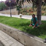 Elegía con Sheep tras su baño, a Dios Gracias*}