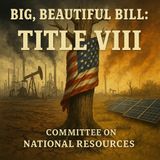 Bills on the Hill: H.R. 1 Big, Beautiful Bill - Title VIII