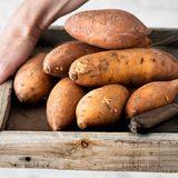Patata dolce (batata): benefici, proprietà e perché è considerata un superfood
