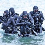 The Navy SEALs