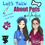 Let's Talk About Pets - Episode 19 Got Chunk in the Trunk?