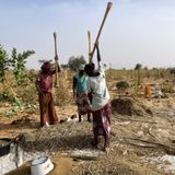 Le journal du 16 octobre 2025 - Octobre Rose : le Niger intensifie la lutte contre le cancer du sein