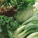 Magnesium: Ein guter Grund - mit Dr. Stefan Hügel