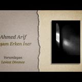 Ahmed Arif   Akşam Erken İner