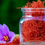 Lo zafferano, la spezia più costosa al mondo storia, coltivazione e segreti dell’oro rosso
