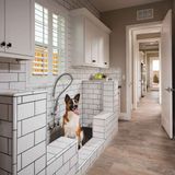 Building Pet Friendly Homes - Banning Pet Piercings and Tattoos