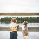 Episodio 2. Duelo en los niños