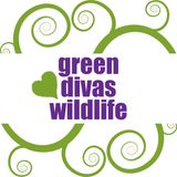 GDs Heart Wildlife: threats & hope for wildlife in 2019