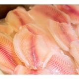 KCZ States: Tilapia Is The Worst Fish To Eat!