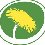 Miljöpartiet i Vivalla