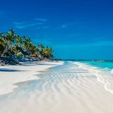 Il richiamo di zanzibar