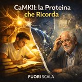 Fuori Scala #41 🧬 La Proteina che Ricorda