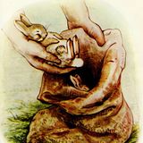 Het verhaal van de Slaperige Konijntjes | Beatrix Potter Verhalen