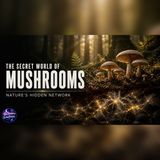 The Forest’s Hidden Internet: 500 Million Years of Mushrooms | Sleep Story