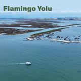 Flamingo Yolu