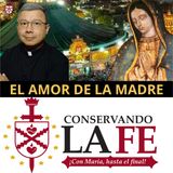 🔥Guadalupe: El amor de la Madre. La ayuda de Dios a sus hijos que sufren.