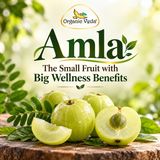 Amla Benefits Skin, Hair, Digestion, Immunity & More