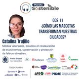 ODS 11: ¿Cómo las mascotas transforman nuestras ciudades?