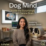 Dog Mind - The Little Schemer on the Leash