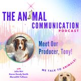 Meet Our Producer - Tony!