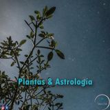 Plantas & Astrología