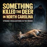 Something Killed a Deer in the Woods | Ray’s North Carolina Bigfoot Encounter