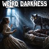 Bisclavret: The Werewolf | His Wife Discovered His Secret, And Used It To Destroy Him!