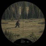 A Bow Hunter Finds Bigfoot