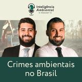 #14 Crimes Ambientais no Brasil  |  com João Gabriel Espósito e Tiago Martins