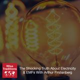 272: The Shocking Truth About Electricity & EMFs