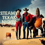 Steamy Texas Nights Story .1.