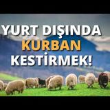 Yurt Dışında Kurban Kestirmek!    AHMET KURUCAN