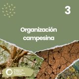Organización campesina