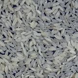 Le journal du 17 mars 2026 - À Zinder, la production locale de riz enregistre une progression, d’après l’ONAHA