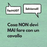 Cosa non devi MAI fare con un cavallo