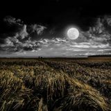 ORIGEN DEL HOMBRE LOBO | LuisBermejo.com 02x26