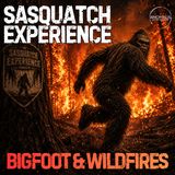 EP 145: Wildfires