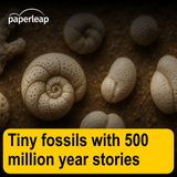 Tiny fossils with 500 million year stories