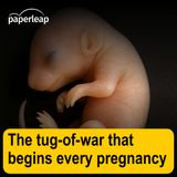 The tug-of-war of every pregnancy