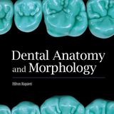 Dental Anatomy and Morphology