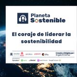 ¿Quién está liderando realmente la sostenibilidad en tu organización?