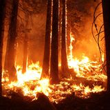 Enerji Günlüğü 28 Temmuz 2025 Enerji Bülteni