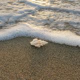 Episode 1632 - Jarvis Kingston US Israel Iran War Tehran Isfahan Qom Karaj Kermanshah Khamenei Pakistan Afghanistan War Taliban UAE Bahrain